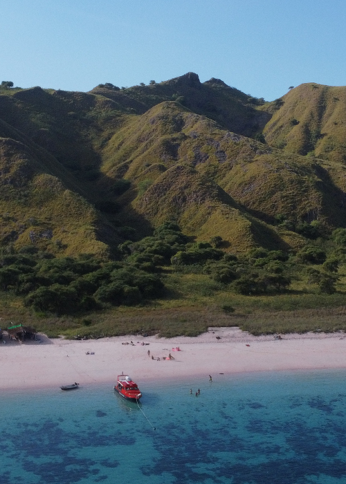 Reisblog Reisrups Komodo afbeelding