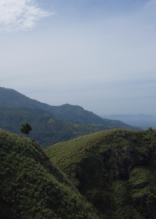 Reisblog Reisrups Sri Lanka afbeelding